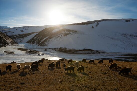 Kosh-Agach district in Republic of Altai