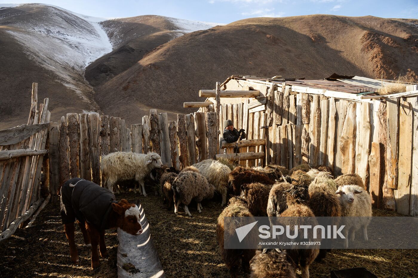 Kosh-Agach district in Republic of Altai