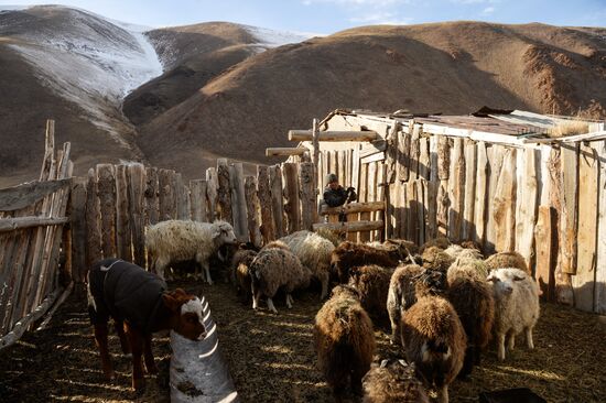 Kosh-Agach district in Republic of Altai