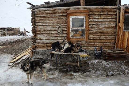 Kosh-Agach district in Republic of Altai