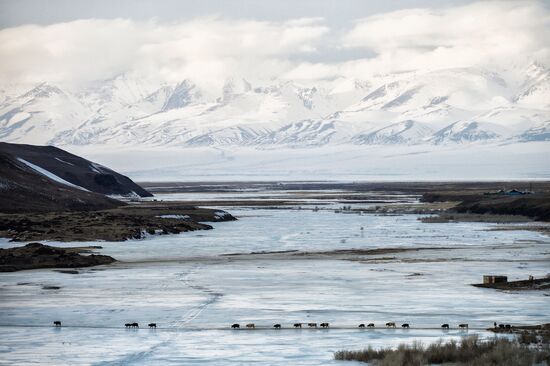 Kosh-Agach district in Republic of Altai
