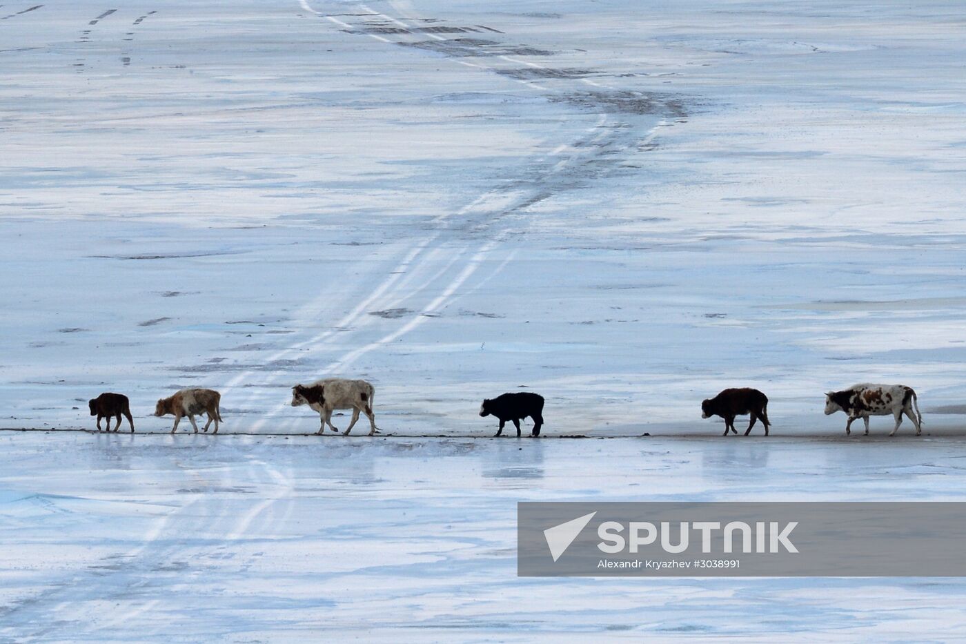 Kosh-Agach district in Republic of Altai