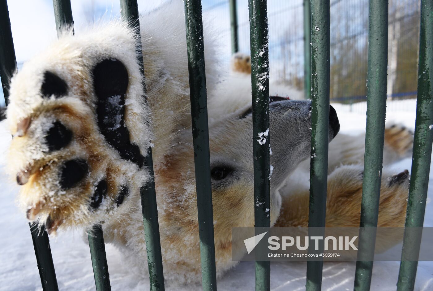 Moscow Zoo holds visiting tour