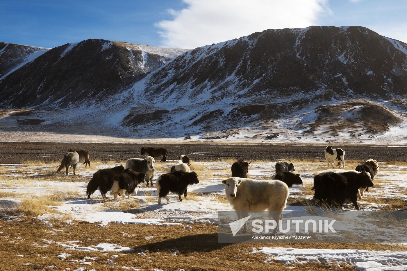 Kosh-Agach district in Republic of Altai