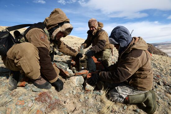 First total snow leopard count in Russia