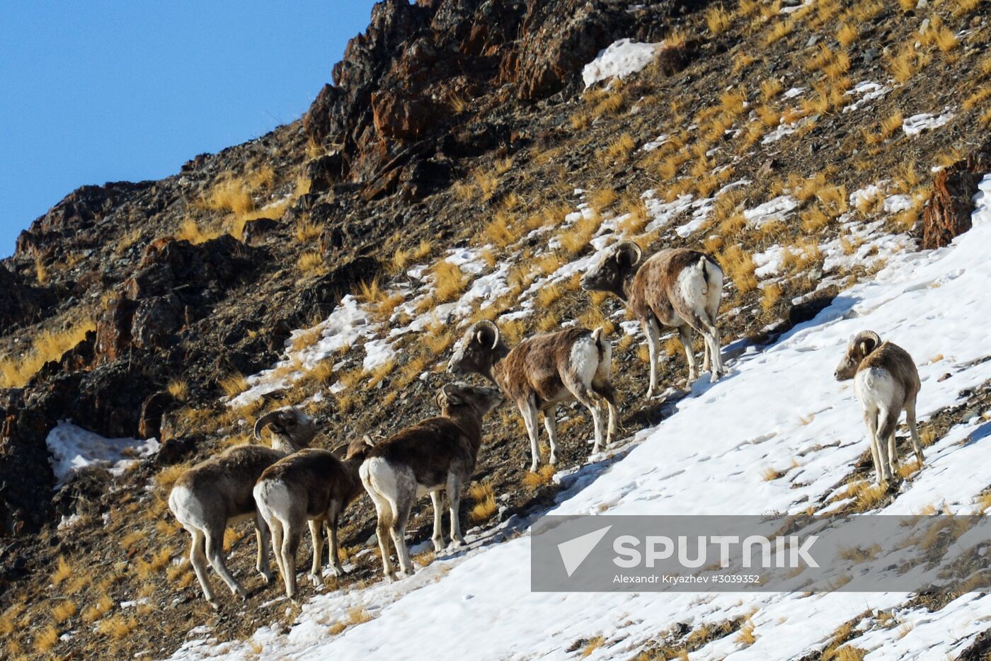 Kosh-Agach district in Republic of Altai