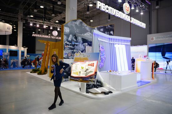 Russian Investment Forum in Sochi. Day Two