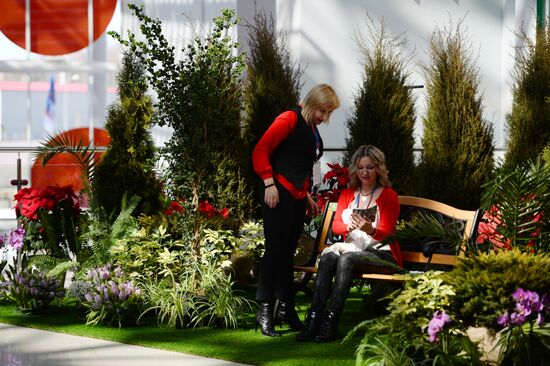 Russian Investment Forum in Sochi