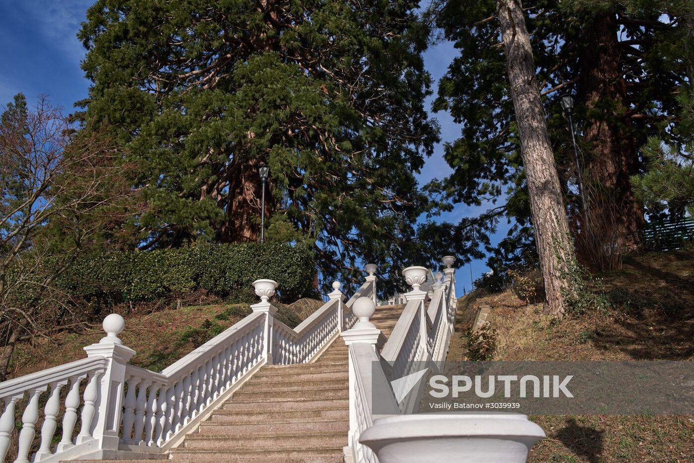 Chekhov House-Museum in Yalta