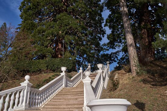 Chekhov House-Museum in Yalta