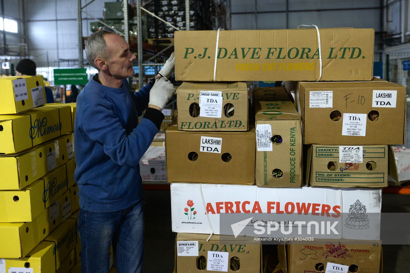 Frower shipped from Holland for March 8