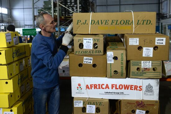 Frower shipped from Holland for March 8