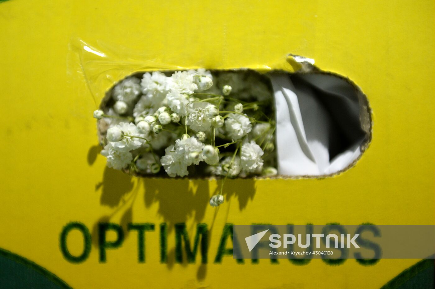 Frower shipped from Holland for March 8