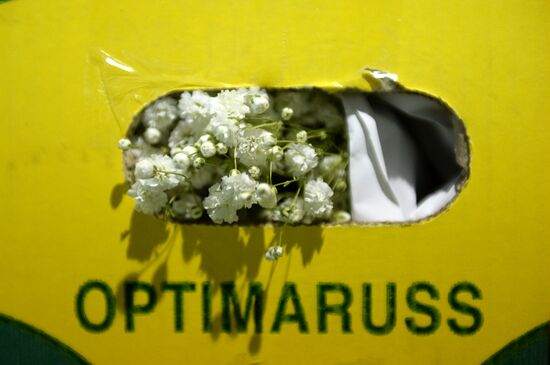 Frower shipped from Holland for March 8