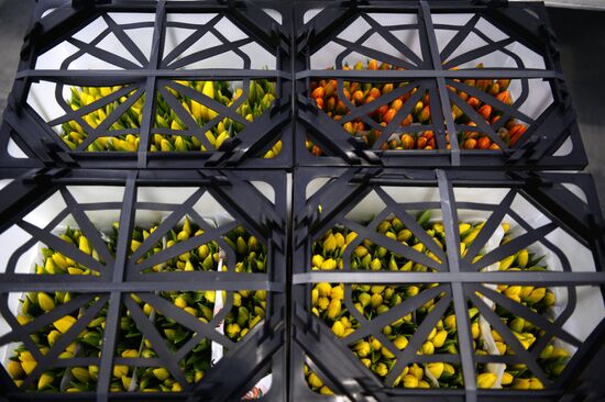 Frower shipped from Holland for March 8