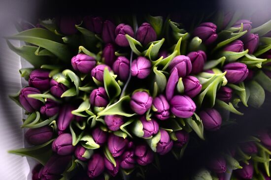 Frower shipped from Holland for March 8