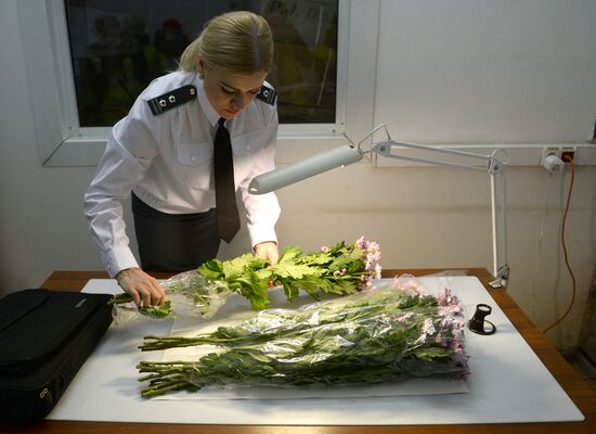 Frower shipped from Holland for March 8