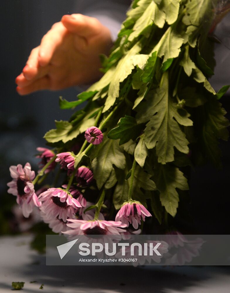 Frower shipped from Holland for March 8