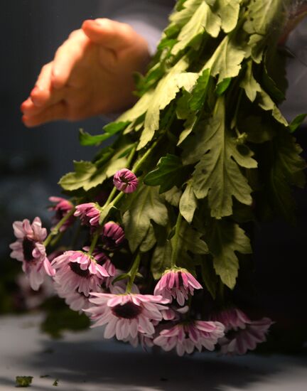 Frower shipped from Holland for March 8