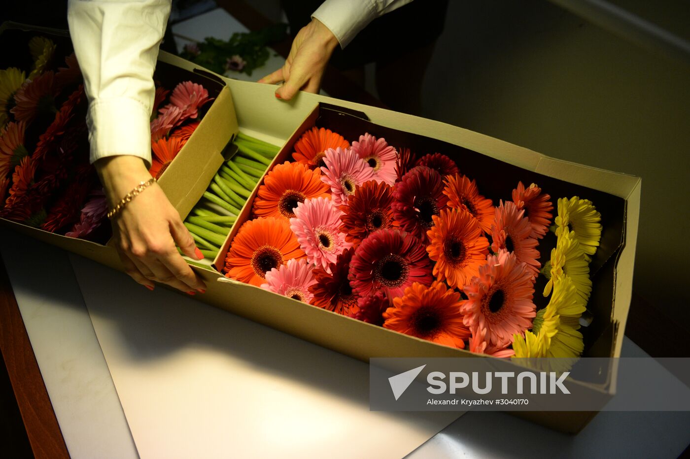 Frower shipped from Holland for March 8