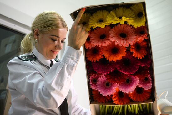 Frower shipped from Holland for March 8