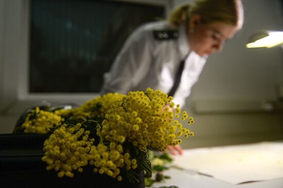 Frower shipped from Holland for March 8