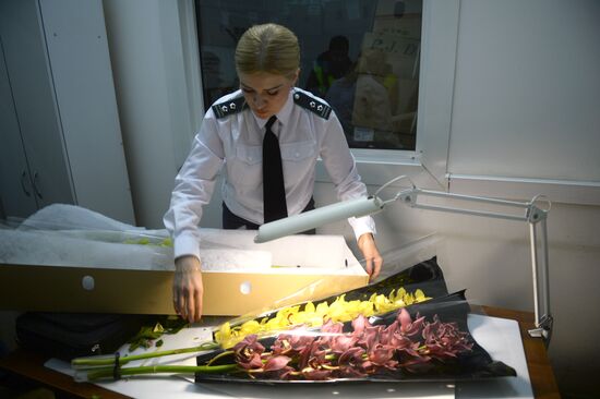Frower shipped from Holland for March 8