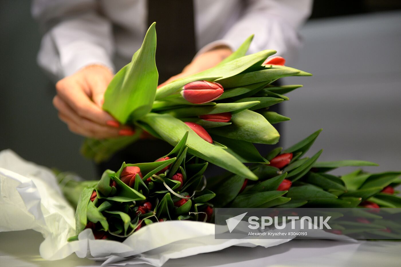Frower shipped from Holland for March 8