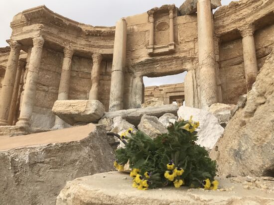 Palmyra recaptured by Syrian Arab Army backed by Russian Air Force
