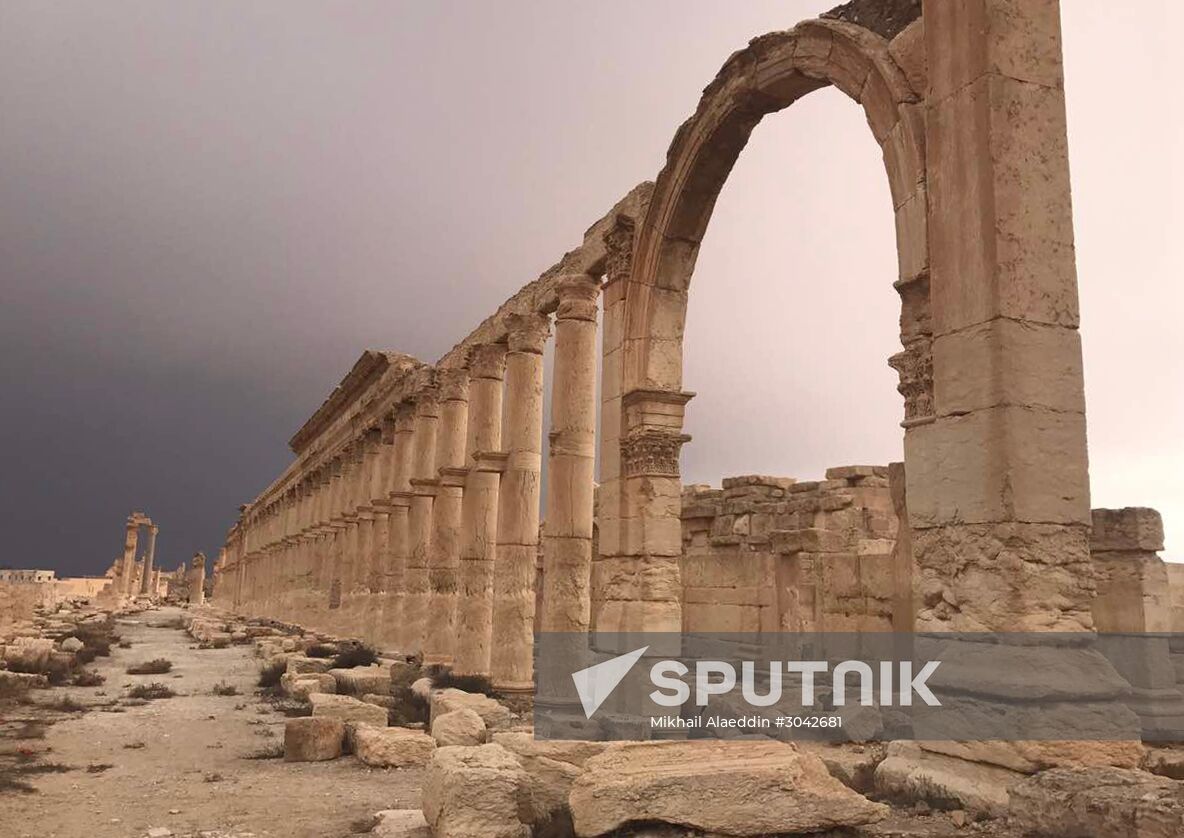 Palmyra recaptured by Syrian Arab Army backed by Russian Air Force