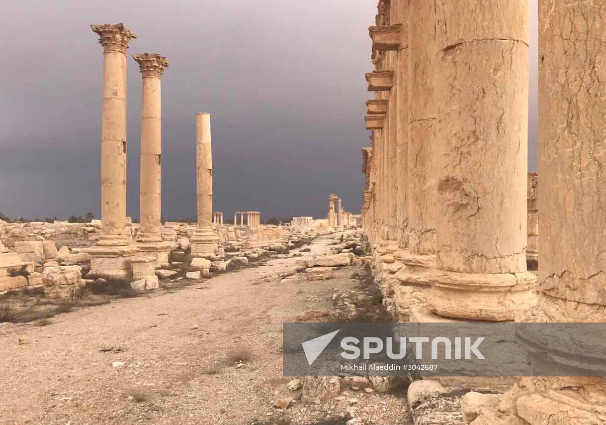 Palmyra recaptured by Syrian Arab Army backed by Russian Air Force
