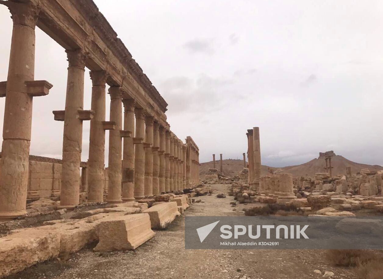 Palmyra recaptured by Syrian Arab Army backed by Russian Air Force