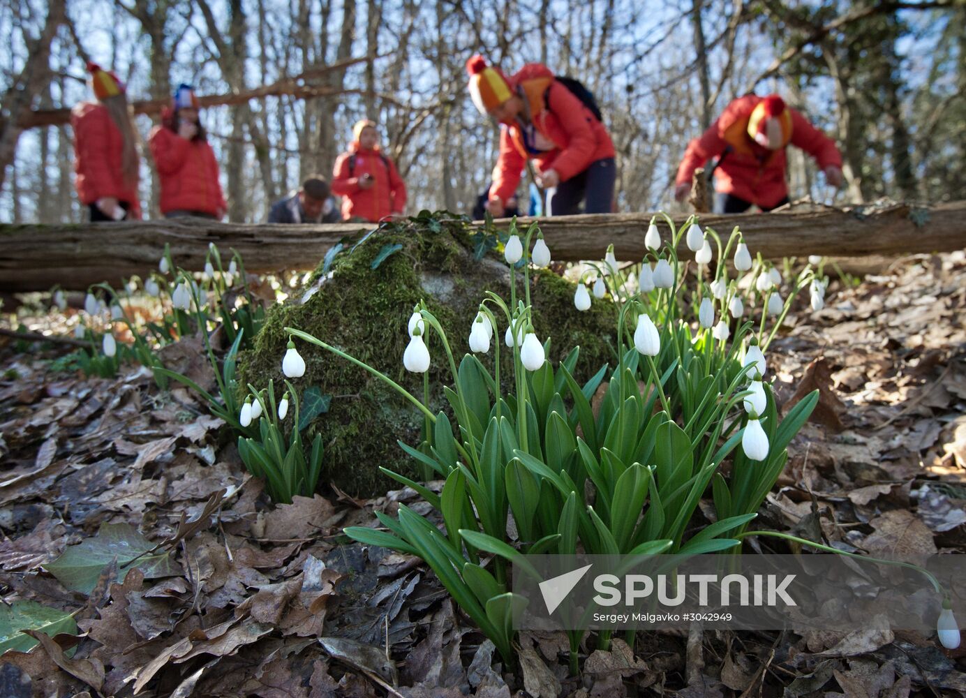 Grand Ecological Marathon "My Blooming Planet" kicks off in Artek child center