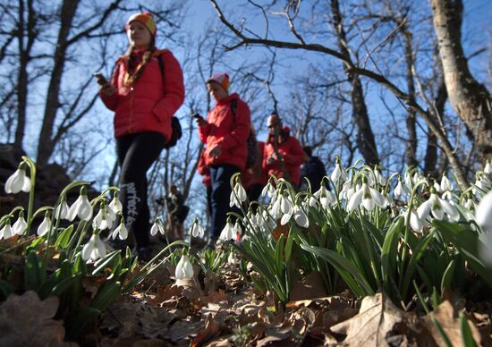 Grand Ecological Marathon "My Blooming Planet" kicks off in Artek child center