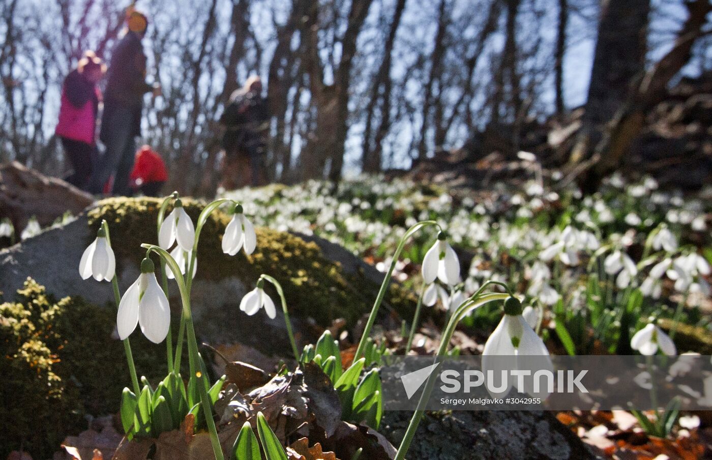 Grand Ecological Marathon "My Blooming Planet" kicks off in Artek child center