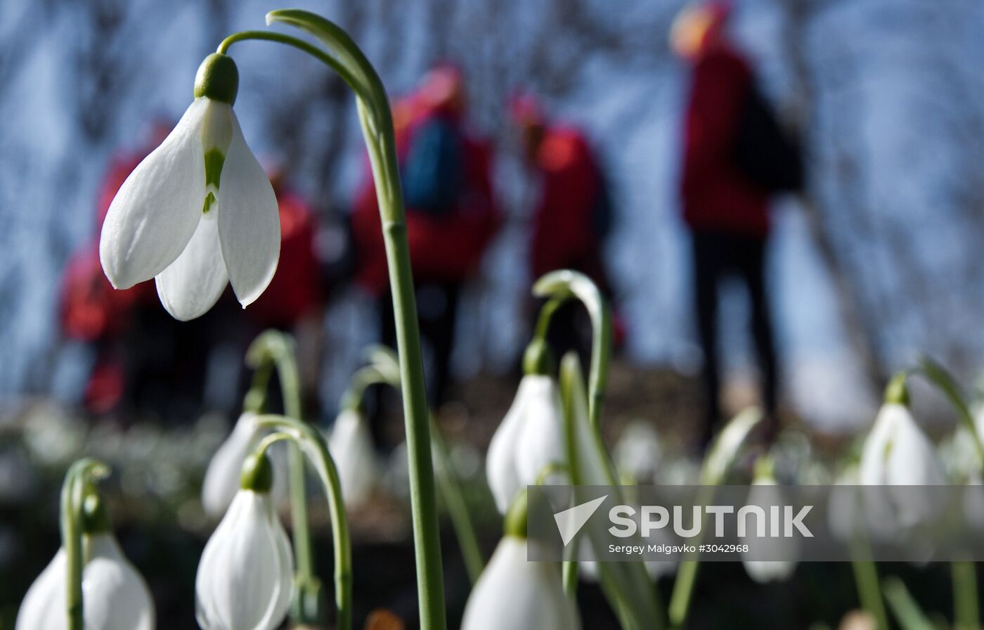 Grand Ecological Marathon "My Blooming Planet" kicks off in Artek child center