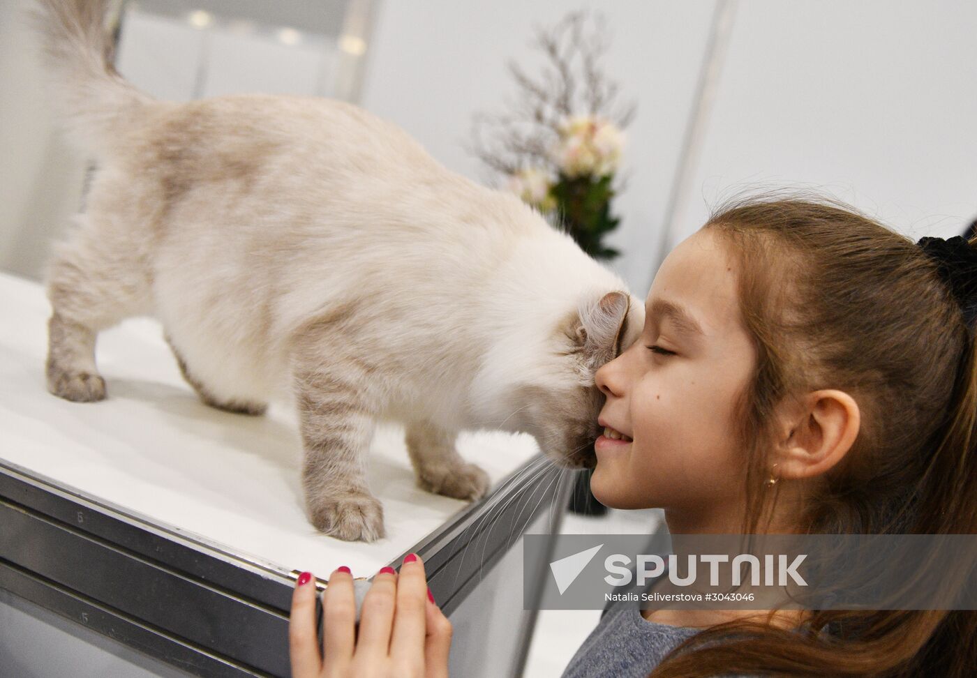 Catsburg 2017 exhibition