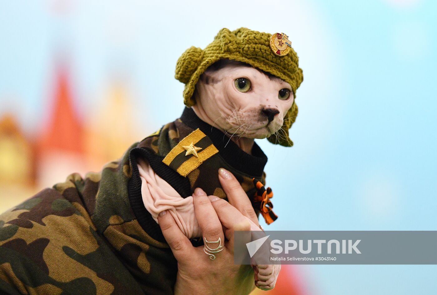 Catsburg 2017 exhibition