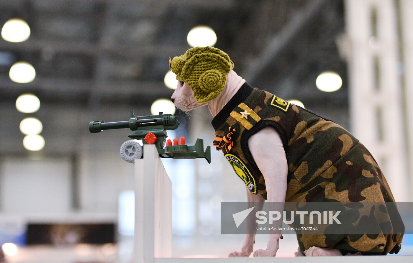 Catsburg 2017 exhibition