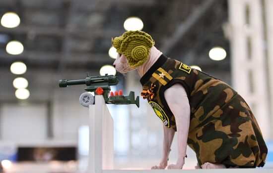 Catsburg 2017 exhibition