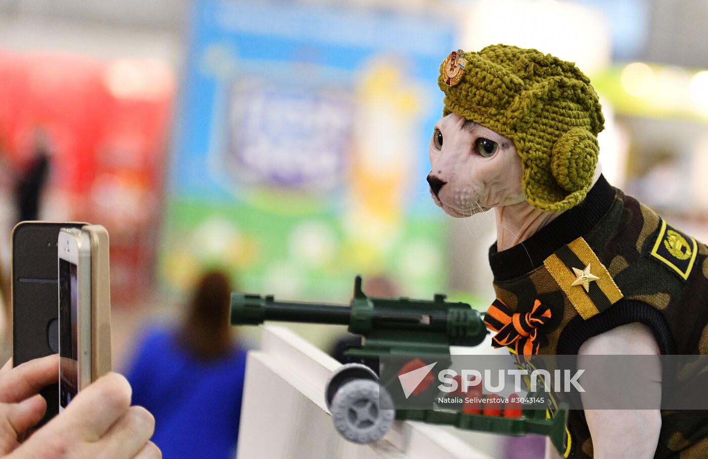 Catsburg 2017 exhibition