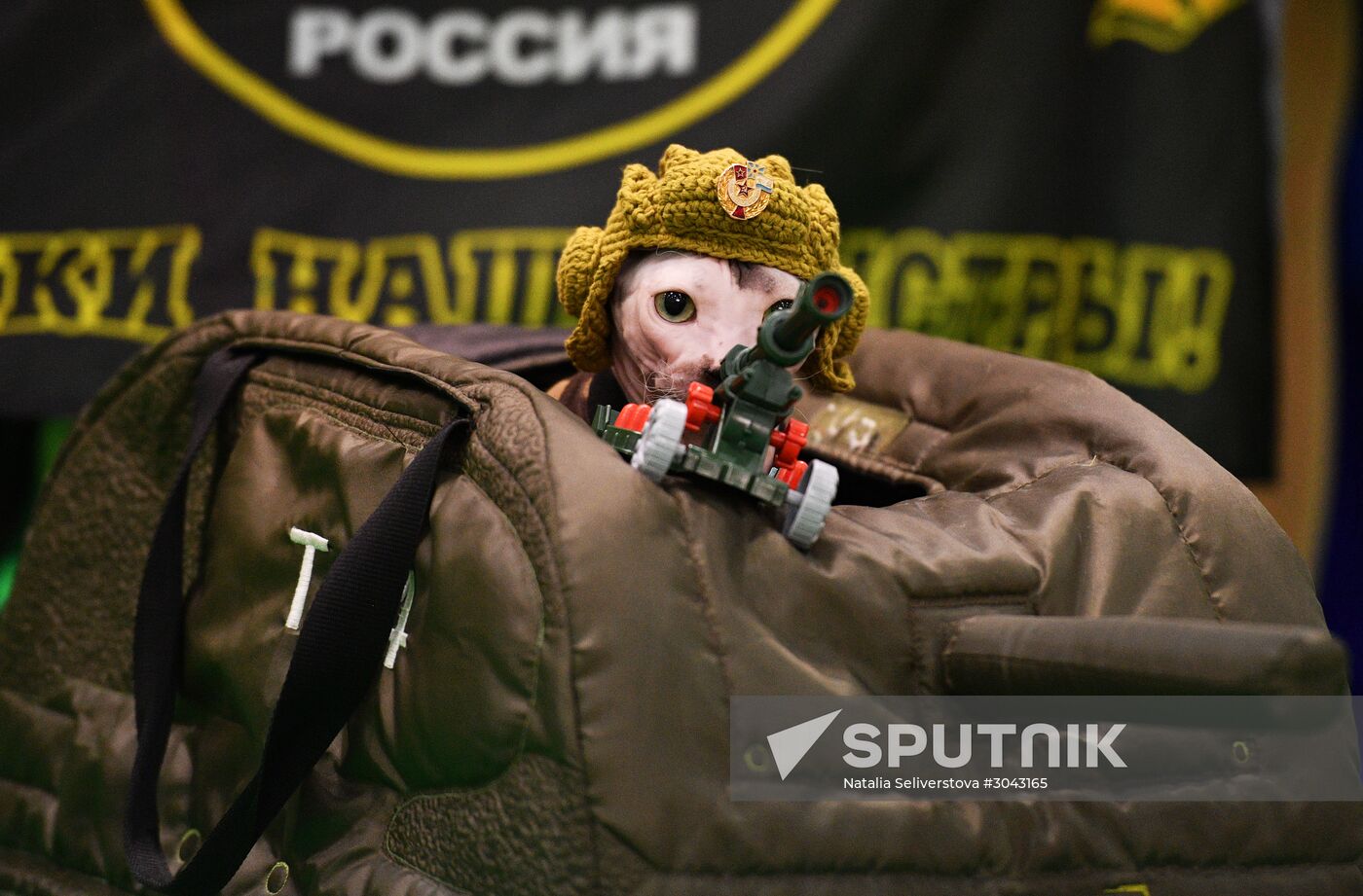 Catsburg 2017 exhibition