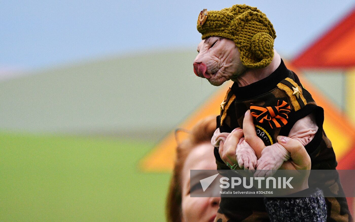 Catsburg 2017 exhibition