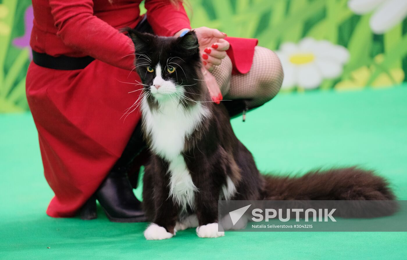 Catsburg 2017 exhibition