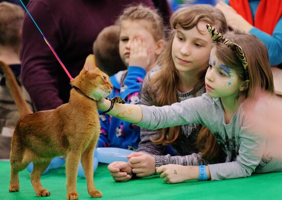 Catsburg 2017 exhibition