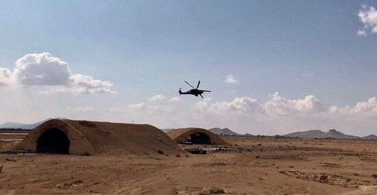 Syrian army regains control over Palmyra