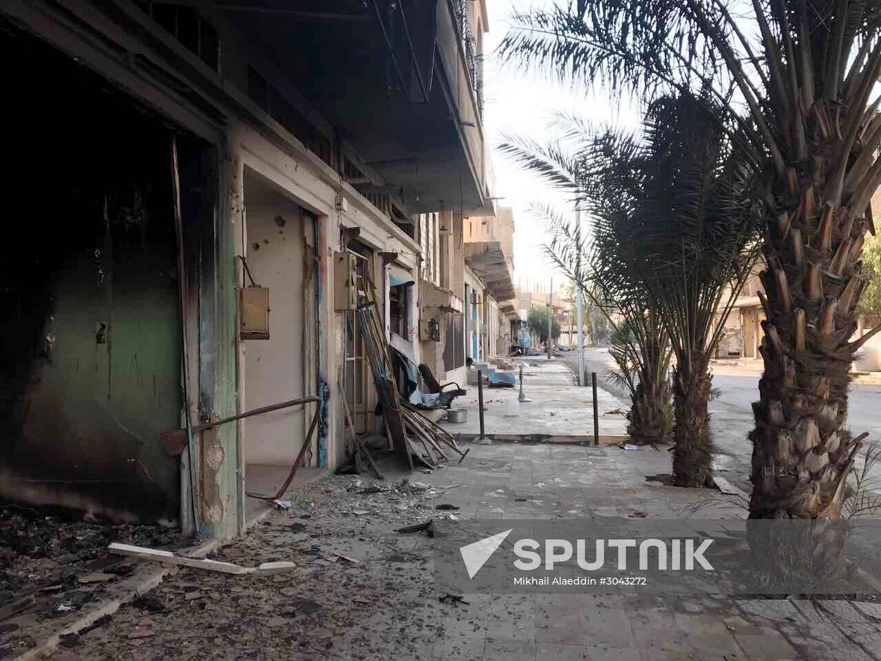 Syrian army regains control over Palmyra