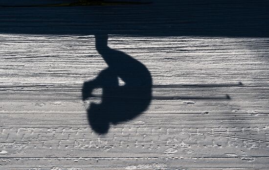 FIS Nordic World Ski Championships 2017. Men's mass start