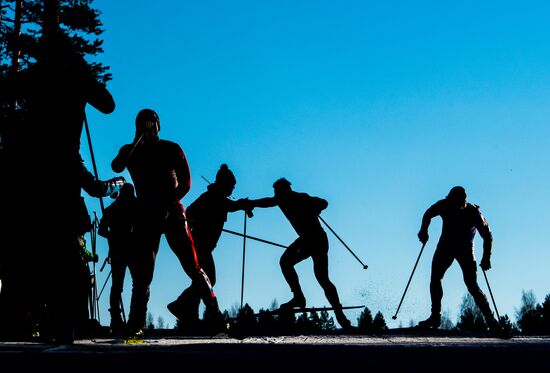 FIS Nordic World Ski Championships 2017. Men's mass start