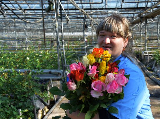 Growing flowers for March 8 in Primorsky Territory
